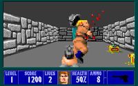 Wolfenstein 3D screenshot, image №213383 - RAWG