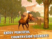 Pony Horse Riding 3D screenshot, image №1333188 - RAWG