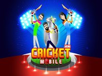 2017 Mini Cricket Mobile Game screenshot, image №1743426 - RAWG