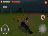 Beast Simulator screenshot, image №2143137 - RAWG