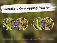 Venn Frogs: Overlapping Jigsaw Puzzles screenshot, image №1788593 - RAWG