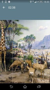 Jigsaw Puzzle: Animals screenshot, image №1497936 - RAWG