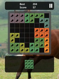 Horse Blocks - Puzzle Games screenshot, image №902922 - RAWG