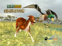 Bird Dog Chase Simulator screenshot, image №1835858 - RAWG