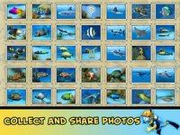Divemaster - the Scuba Diver Photo Expedition Adventure game with sharks and dolphins screenshot, image №60693 - RAWG