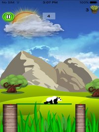 Real Panda Mount Stick Arcade screenshot, image №1959156 - RAWG