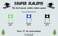 Super Slalom screenshot, image №1856119 - RAWG