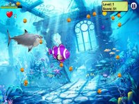 Feeding Fish Frenzy screenshot, image №1763550 - RAWG