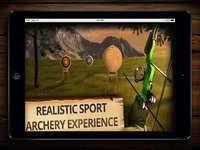 Archery Champion PRO (ADS FREE) 3D Bow Tournament Master, Sport Shooting Game screenshot, image №2067419 - RAWG