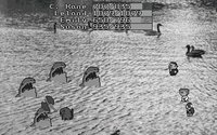 C. Kane (itch) screenshot, image №1829504 - RAWG