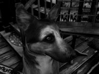 The Last Crown: Midnight Horror screenshot, image №196320 - RAWG