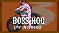 BOSS HOG: LIVIN' LIFE ON THE EDGE screenshot, image №3036843 - RAWG