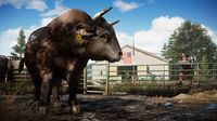 Far Cry 5 screenshot, image №239769 - RAWG