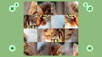 Cat puzzle screenshot, image №1732946 - RAWG