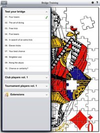 Bridge Training Pro screenshot, image №1823093 - RAWG