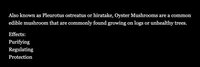 Hrybnik - a c o z y a d v e n t u r e screenshot, image №3109132 - RAWG