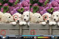 Spot the Differences! screenshot, image №542784 - RAWG