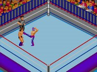 Fire Pro Wrestling Combination Tag screenshot, image №3943746 - RAWG