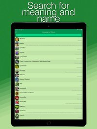Language of Nature screenshot, image №1996477 - RAWG