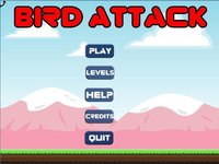 Bird Attack screenshot, image №1278267 - RAWG