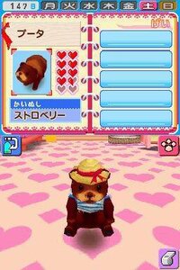 Pet Shop Monogatari 2 screenshot, image №3445374 - RAWG