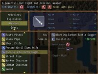 The Last Continent screenshot, image №2579531 - RAWG