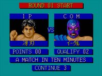 Fire Pro Wrestling Combination Tag screenshot, image №3943744 - RAWG