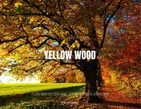 Yellow Wood screenshot, image №1991229 - RAWG