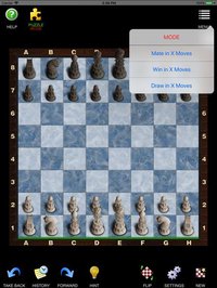 Chess Pro - Ultimate Edition screenshot, image №2221353 - RAWG