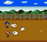 Harvest Moon 2 GBC (1999) screenshot, image №742774 - RAWG