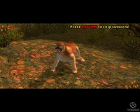 Cabela's Dangerous Hunts 2 screenshot, image №441498 - RAWG