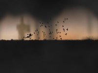 Apocalypse Runner screenshot, image №1711606 - RAWG