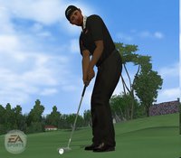 Tiger Woods PGA Tour 07 screenshot, image №458095 - RAWG