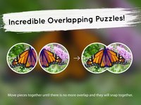 Venn Butterflies: Overlapping Jigsaw Puzzles screenshot, image №1788584 - RAWG