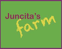 Juncita's farm screenshot, image №3223975 - RAWG