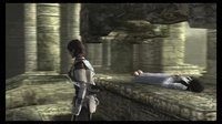 The ICO & Shadow of the Colossus Collection screenshot, image №725524 - RAWG