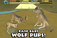 Wildlife Simulator: Wolf screenshot, image №2104977 - RAWG
