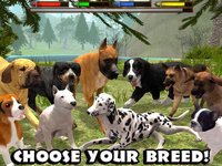 Ultimate Dog Simulator screenshot, image №1559954 - RAWG