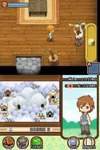 Harvest Moon DS: The Tale of Two Towns screenshot, image №791752 - RAWG