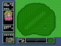 NES Open Tournament Golf screenshot, image №248204 - RAWG