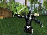 Darkfall Online screenshot, image №351470 - RAWG