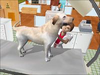 Paws and Claws: Pet Vet screenshot, image №454140 - RAWG