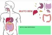 digestorio screenshot, image №2802332 - RAWG