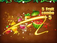 Fruit Panda - Fruit Slice Games screenshot, image №933003 - RAWG