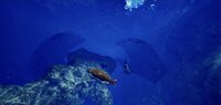 Aquarium at August 32nd VR screenshot, image №4130750 - RAWG