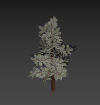 Timeless Forest screenshot, image №1926328 - RAWG