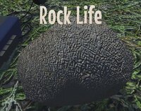 Rock Life screenshot, image №3511363 - RAWG