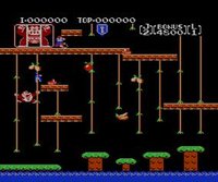 Donkey Kong Jr. screenshot, image №822748 - RAWG