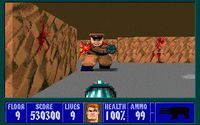 Wolfenstein 3D screenshot, image №213381 - RAWG
