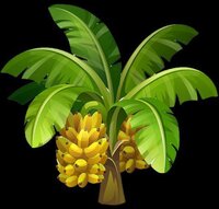 Banana Clicker (Goggi :D) screenshot, image №3050413 - RAWG